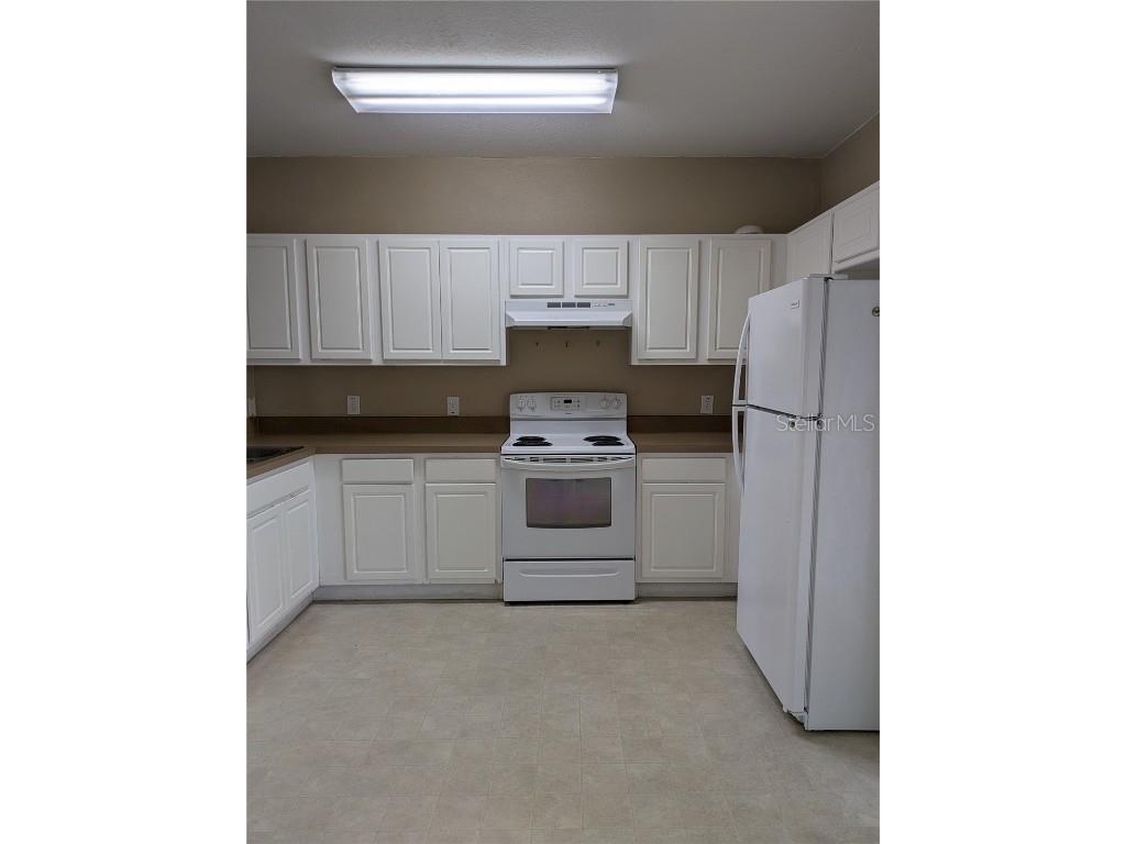 25403 Saddlehorn Way Land O Lakes FL 34639 TB8416591 image5