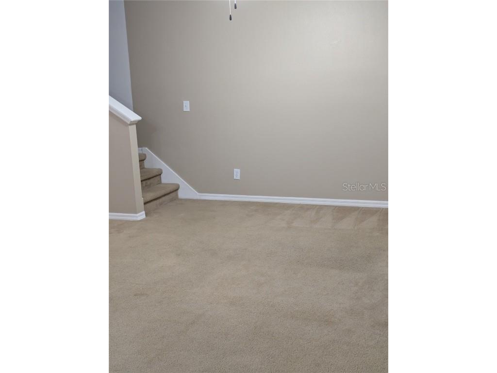 25403 Saddlehorn Way Land O Lakes FL 34639 TB8416591 image9