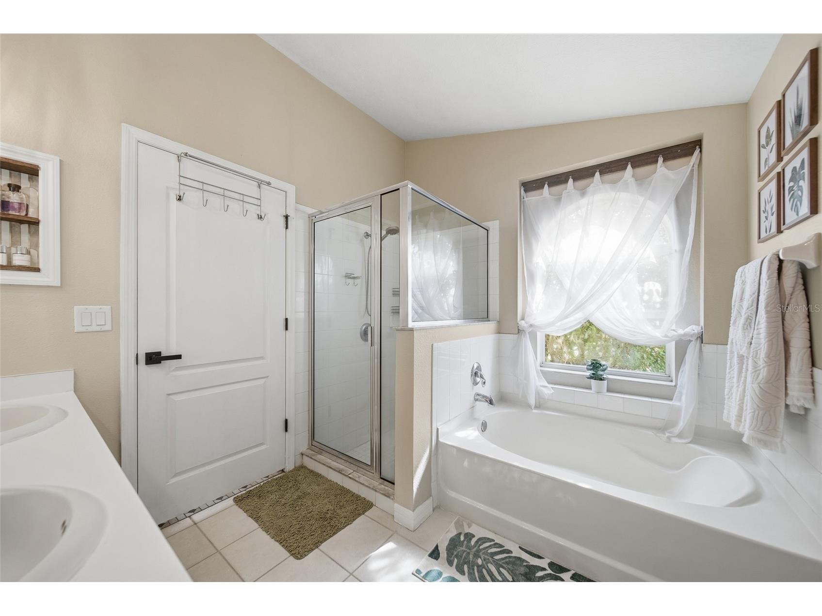 25405 Geddy Drive Land O Lakes FL 34639 TB8507154 image21