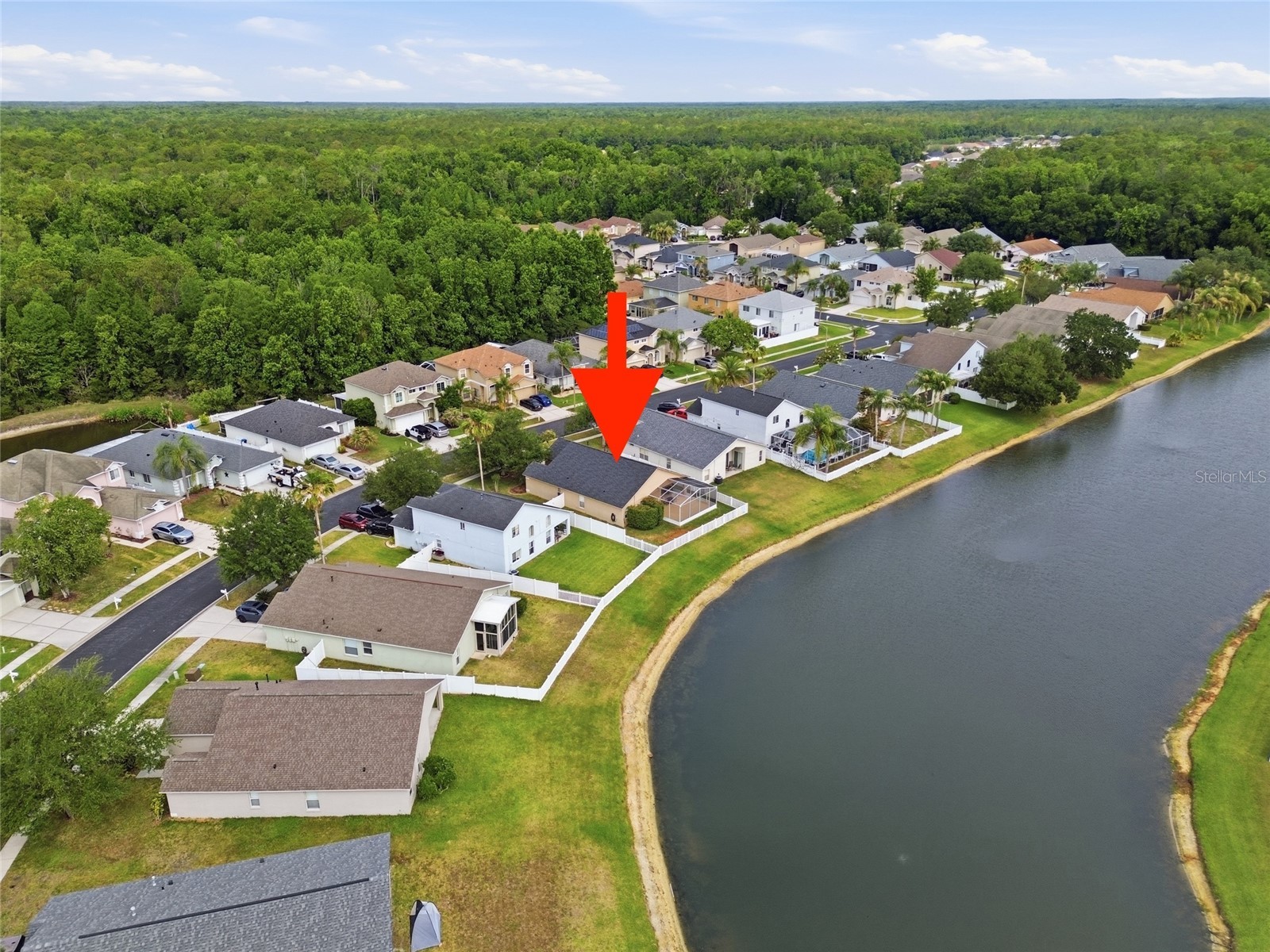 25405 Geddy Drive Land O Lakes FL 34639 TB8507154 image33