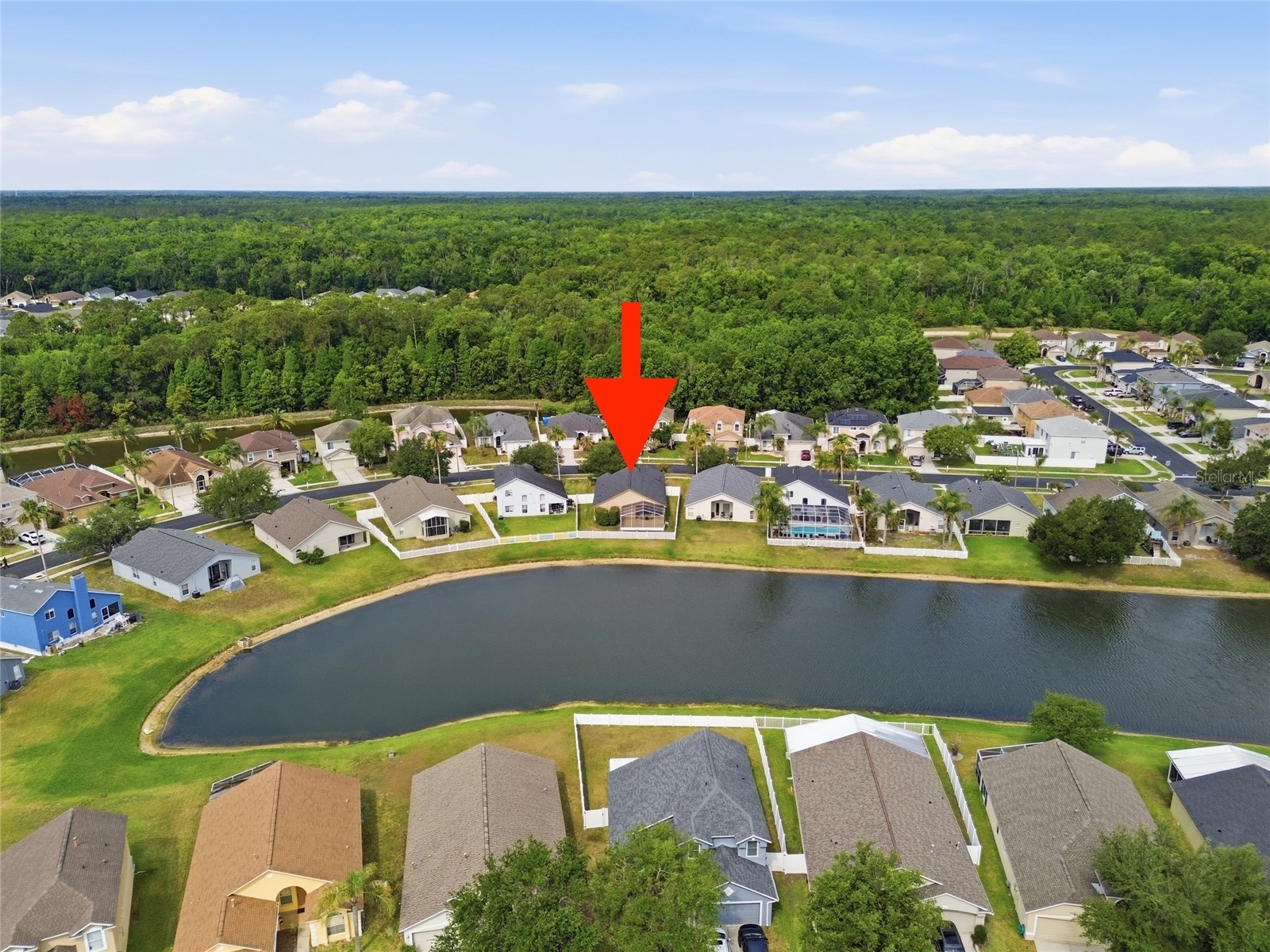 25405 Geddy Drive Land O Lakes FL 34639 TB8507154 image37
