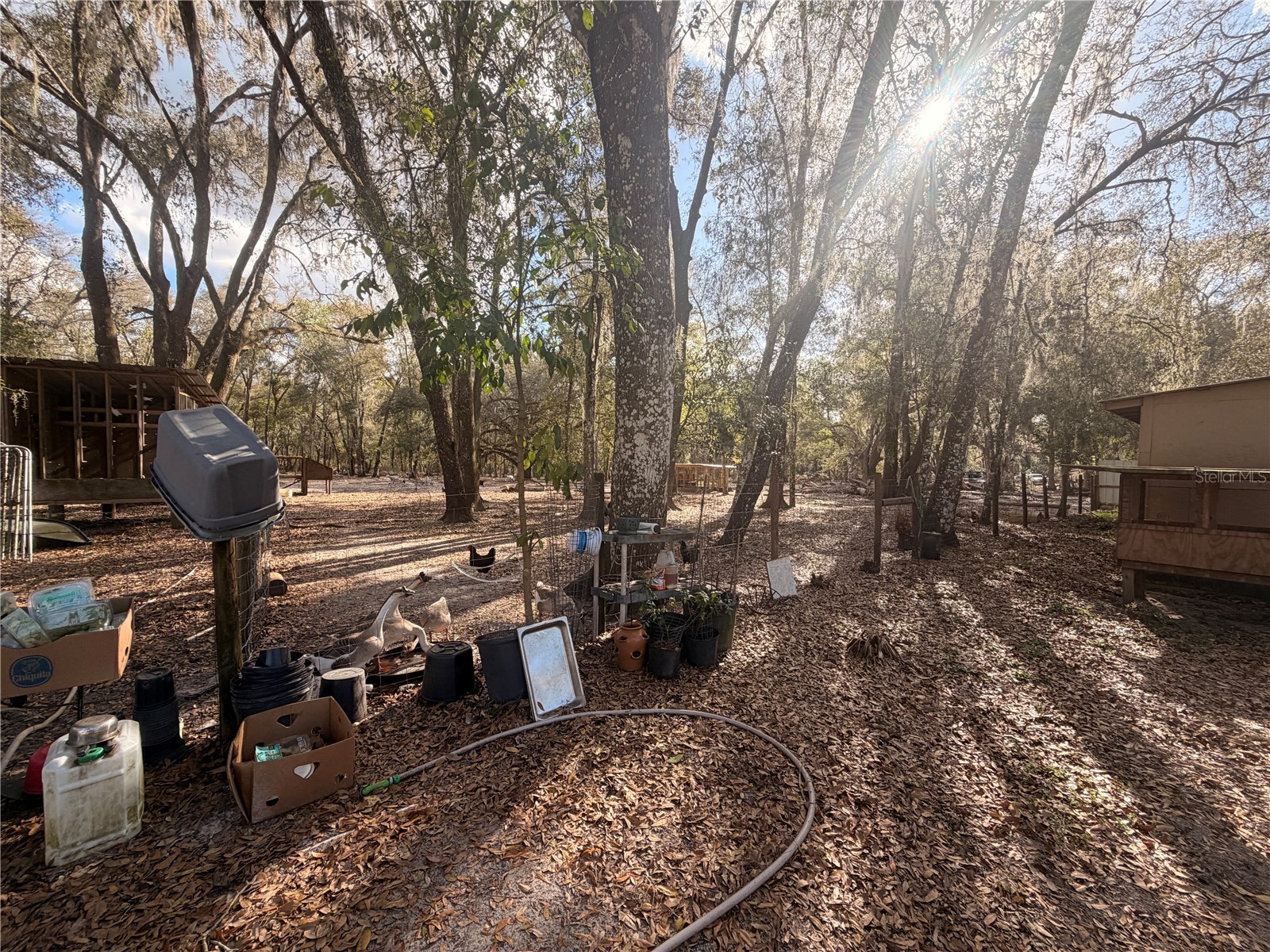 25408 Oneal Road Brooksville FL 34601 TB8483144 image45