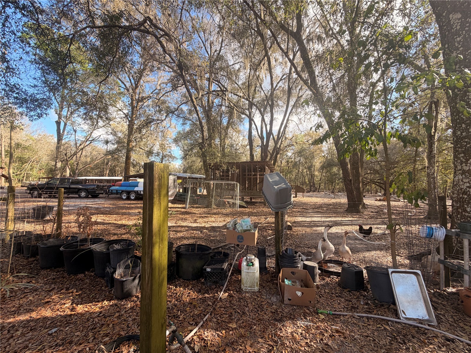 25408 Oneal Road Brooksville FL 34601 TB8483144 image46
