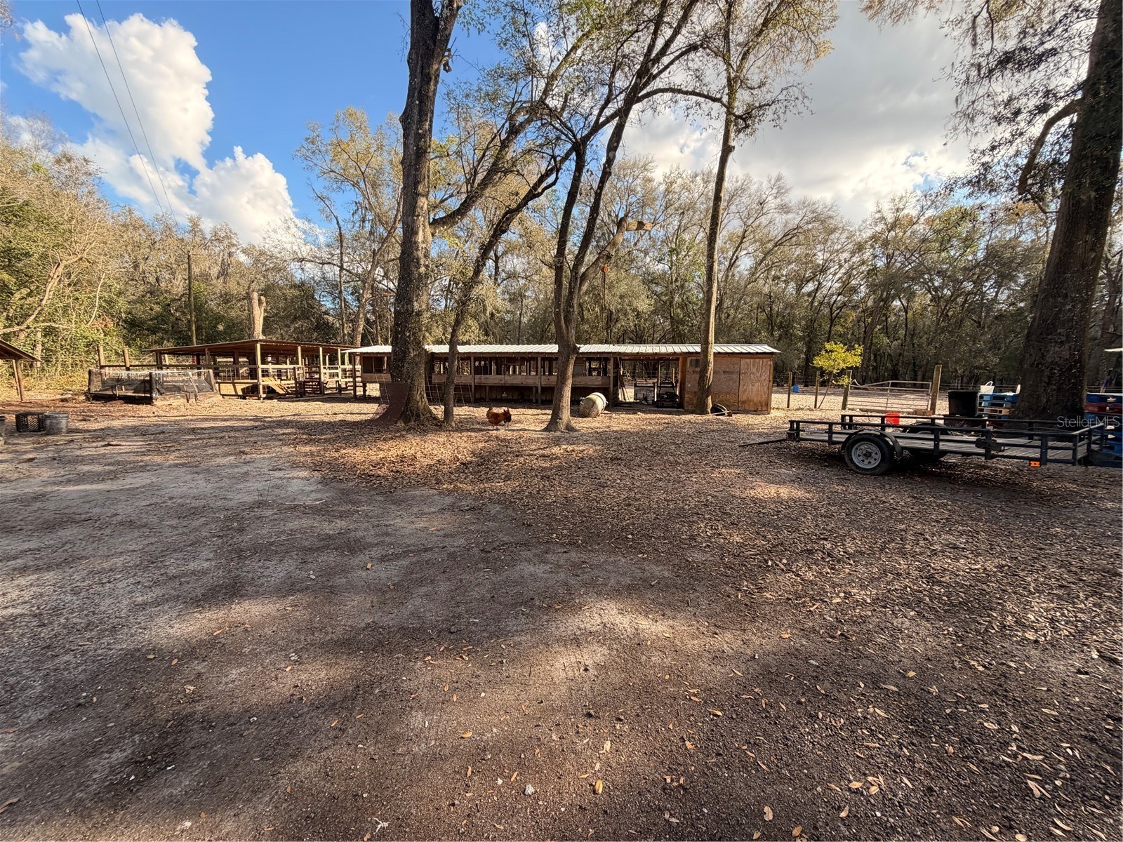 25408 Oneal Road Brooksville FL 34601 TB8483144 image49