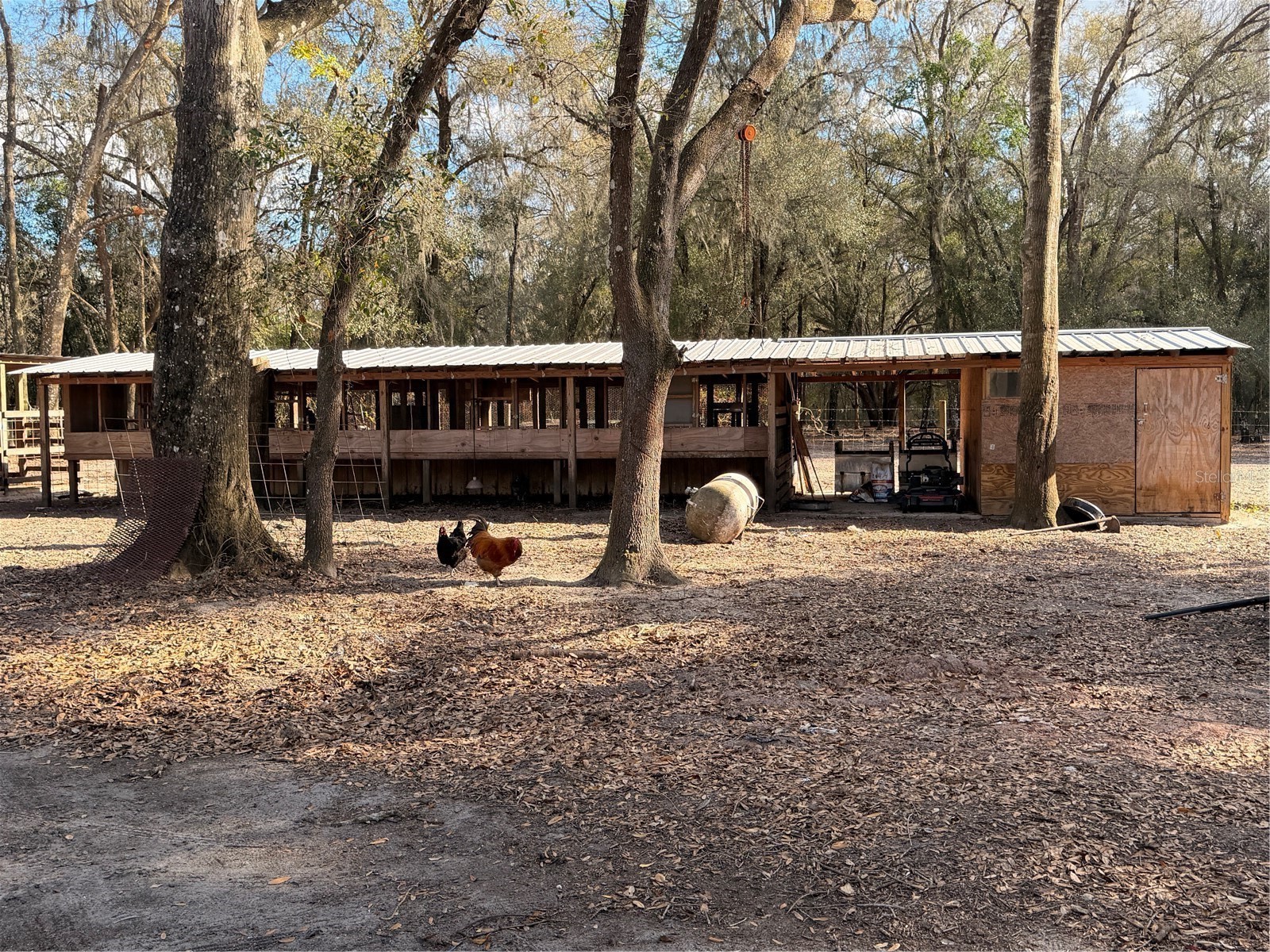 25408 Oneal Road Brooksville FL 34601 TB8483144 image50