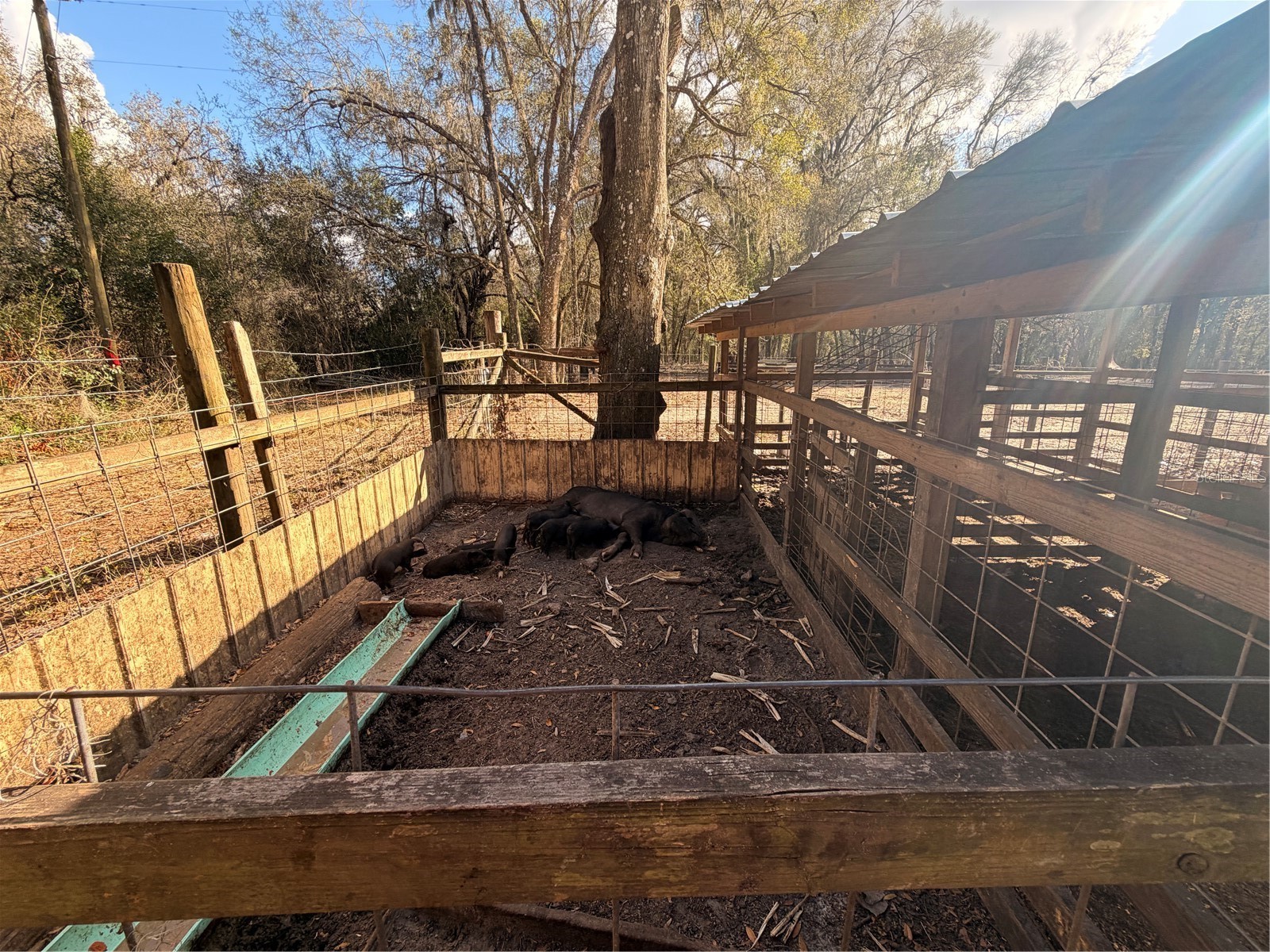 25408 Oneal Road Brooksville FL 34601 TB8483144 image54