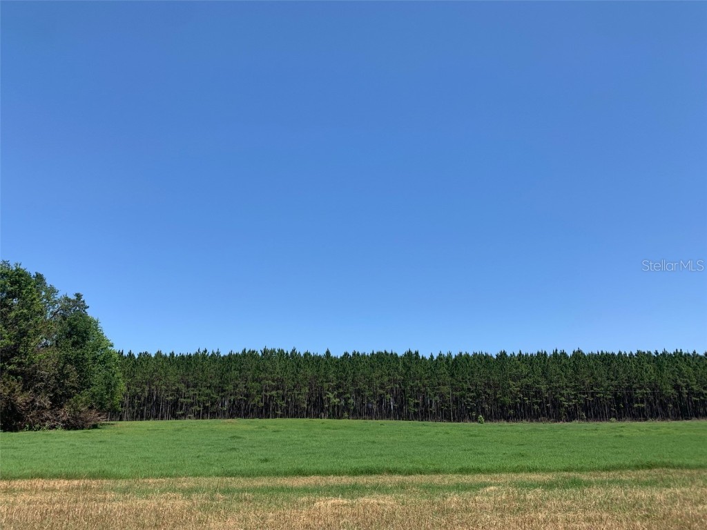 25409 SW 30 Avenue Newberry FL 32669 GC512135 image1