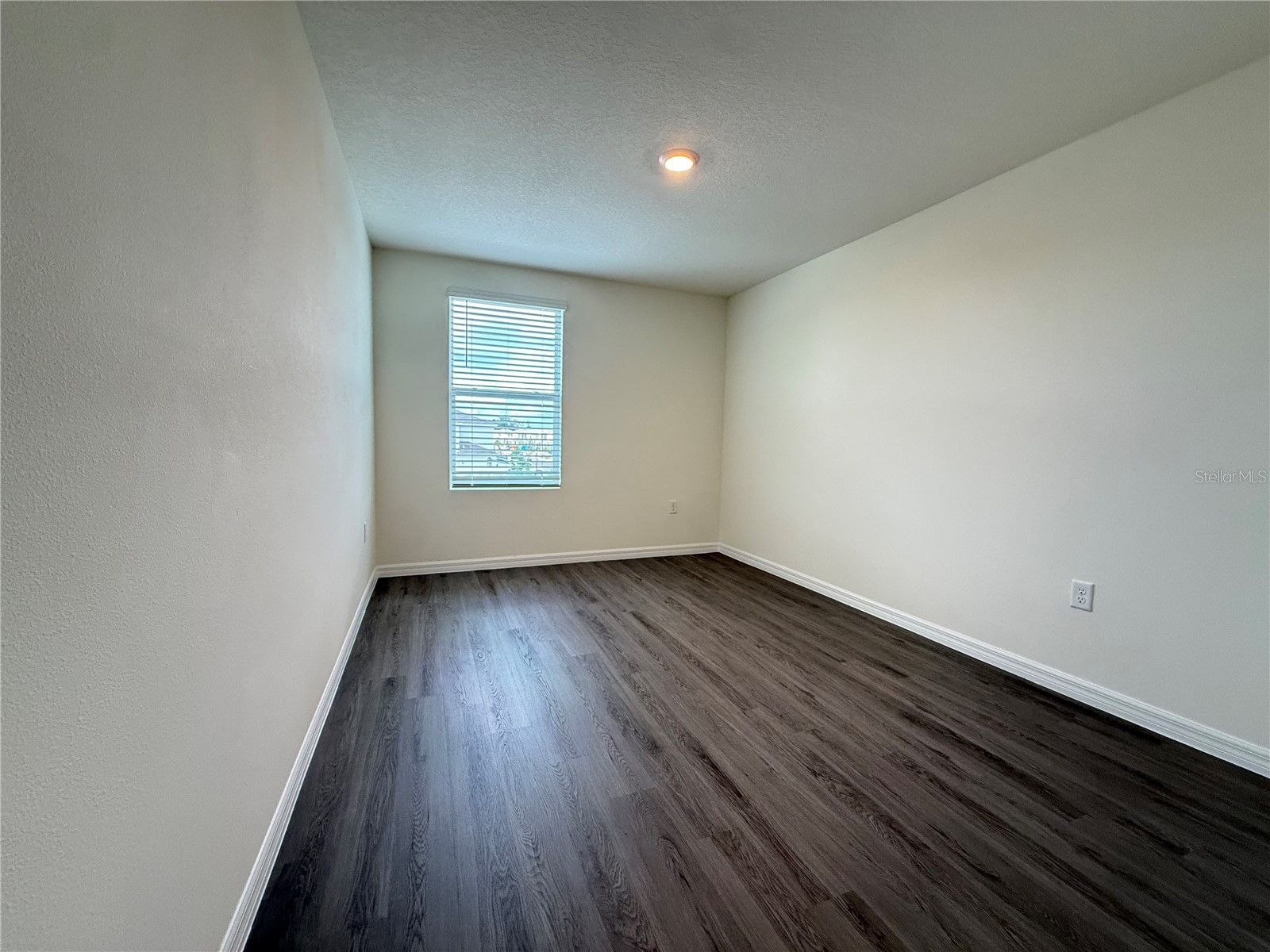 2541 Birney Run Zephyrhills FL 33541 TB8501911 image16