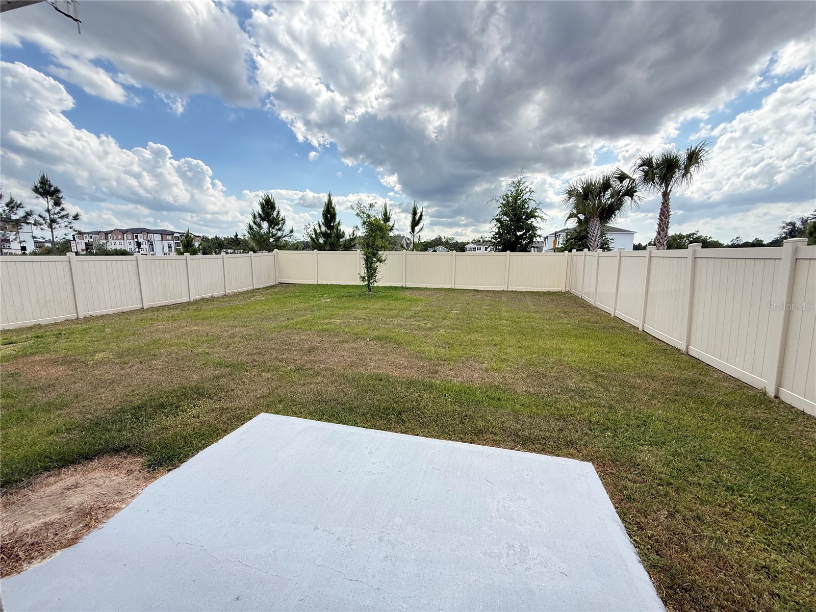 2541 Birney Run Zephyrhills FL 33541 TB8501911 image3