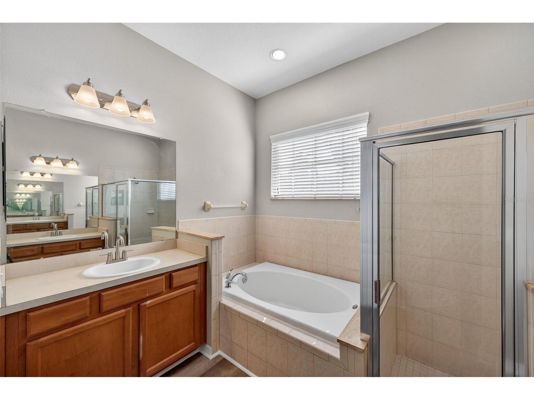 2541 Centennial Falcon Drive Valrico FL 33596 TB8465527 image19