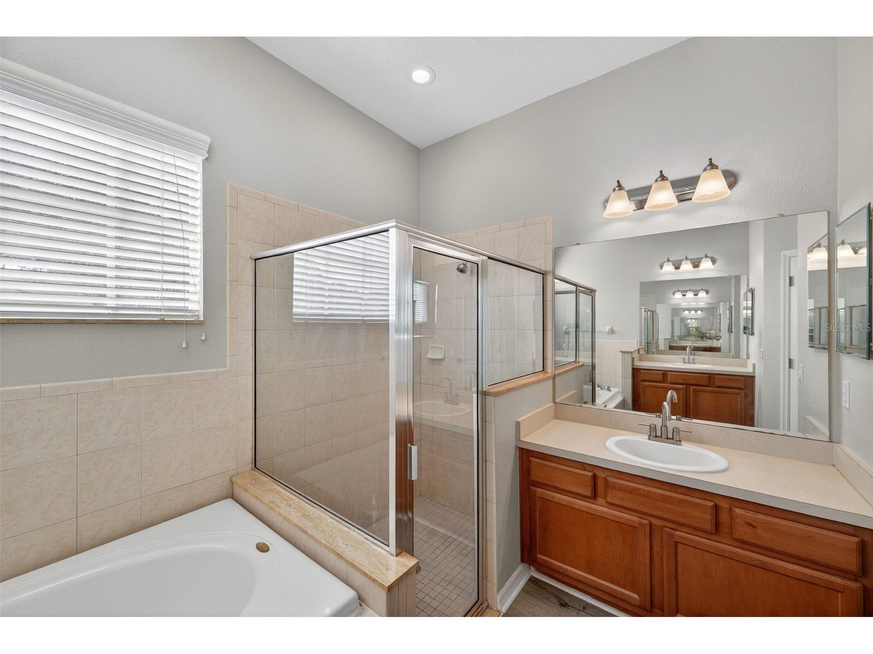 2541 Centennial Falcon Drive Valrico FL 33596 TB8465527 image20