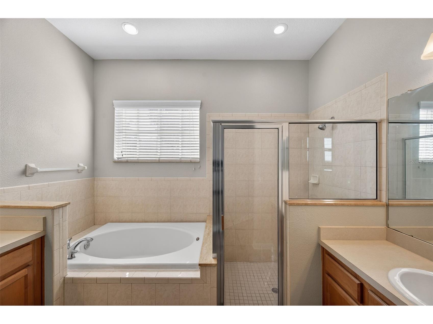 2541 Centennial Falcon Drive Valrico FL 33596 TB8465527 image21