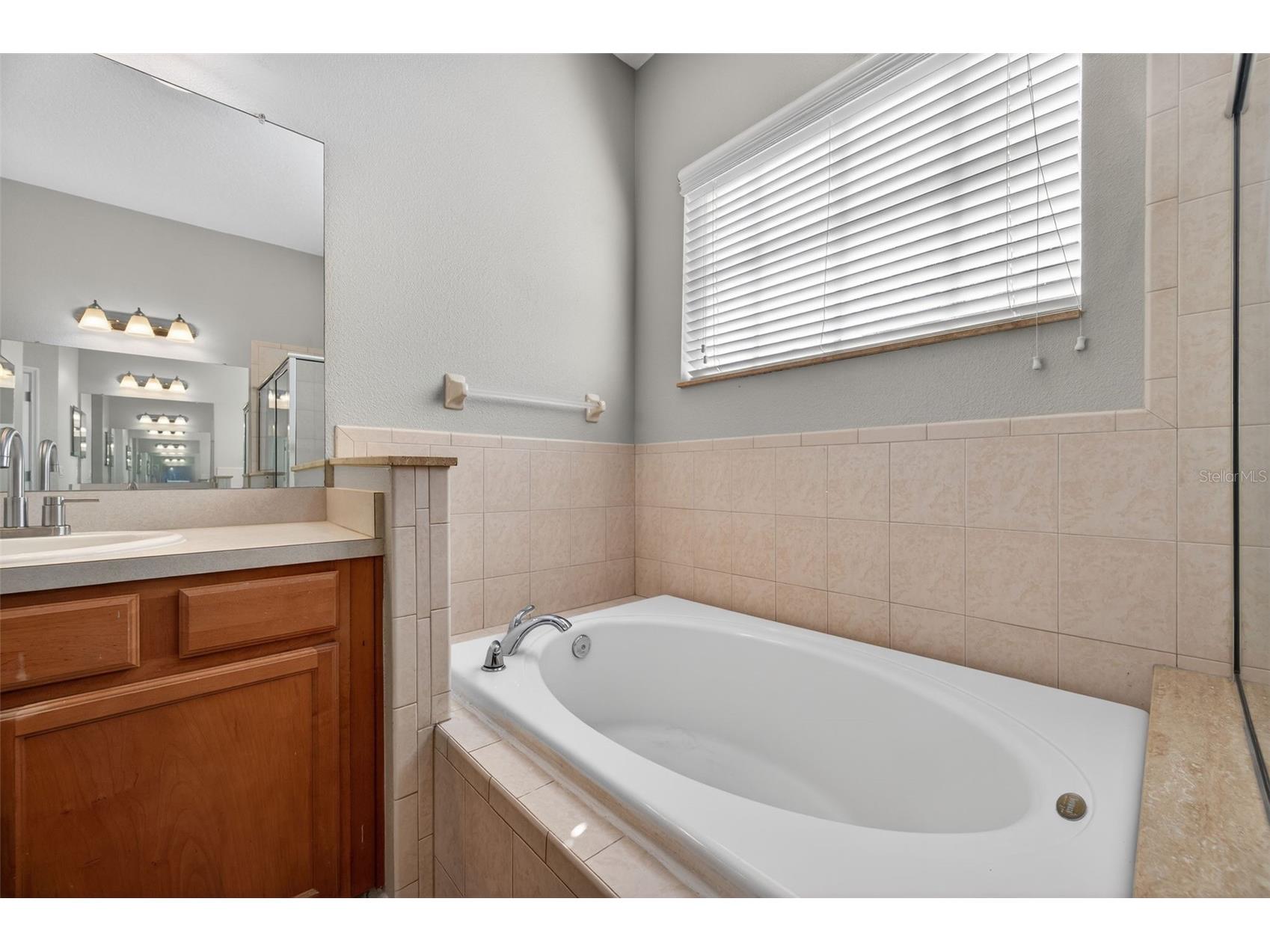 2541 Centennial Falcon Drive Valrico FL 33596 TB8465527 image22