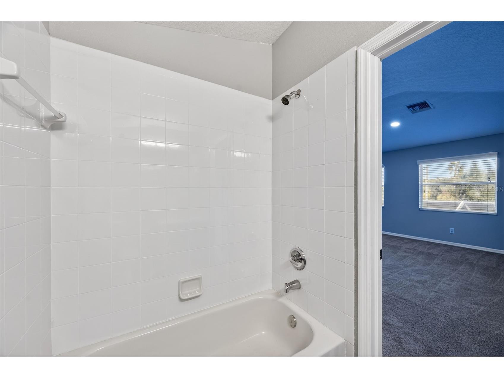 2541 Centennial Falcon Drive Valrico FL 33596 TB8465527 image35