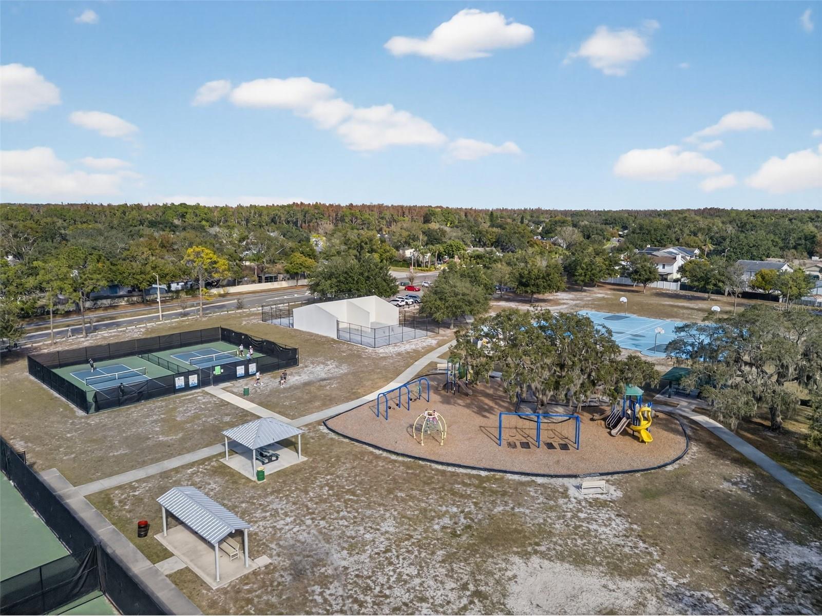 2541 Centennial Falcon Drive Valrico FL 33596 TB8465527 image45