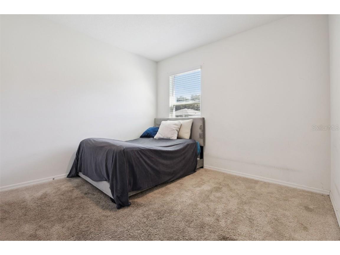 2541 Glacier Express Lane Tavares FL 32778 O6348702 image18