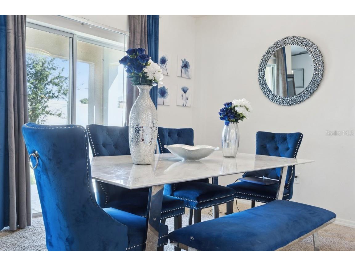 2541 Glacier Express Lane Tavares FL 32778 O6348702 image8