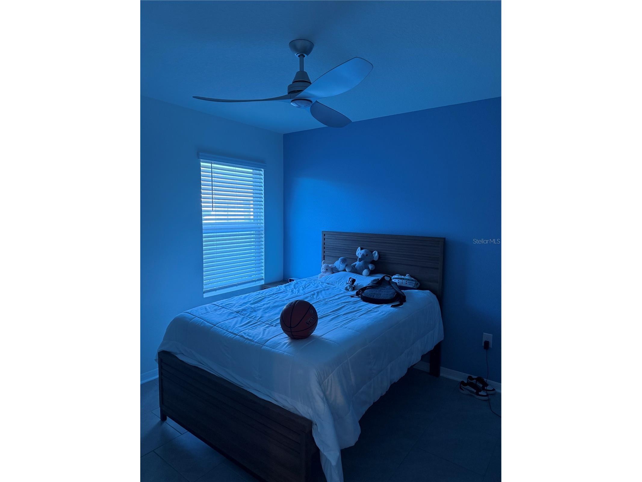 2541 Harmonia Hammock Road Saint Cloud FL 34773 O6386837 image6