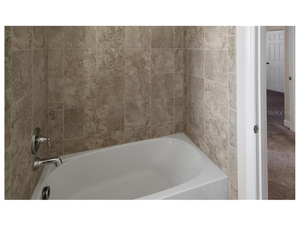 2541 Rapollo Drive Kissimmee FL 34741 S5124306 image19