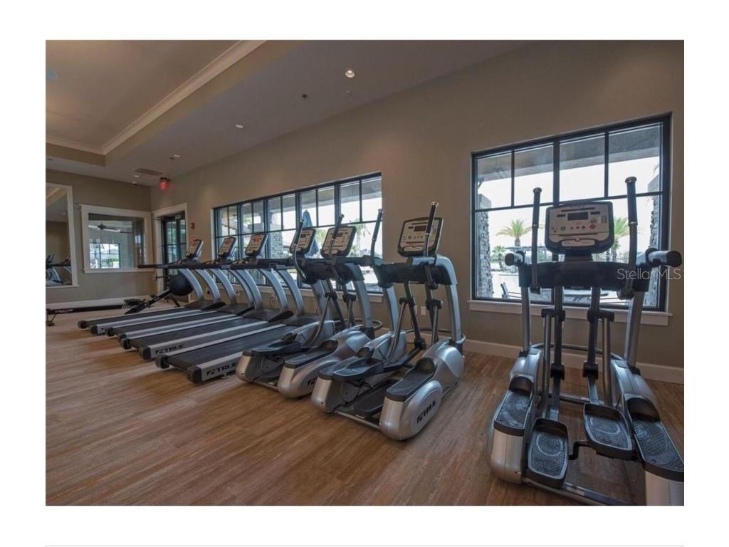 2541 Rapollo Drive Kissimmee FL 34741 S5124306 image37