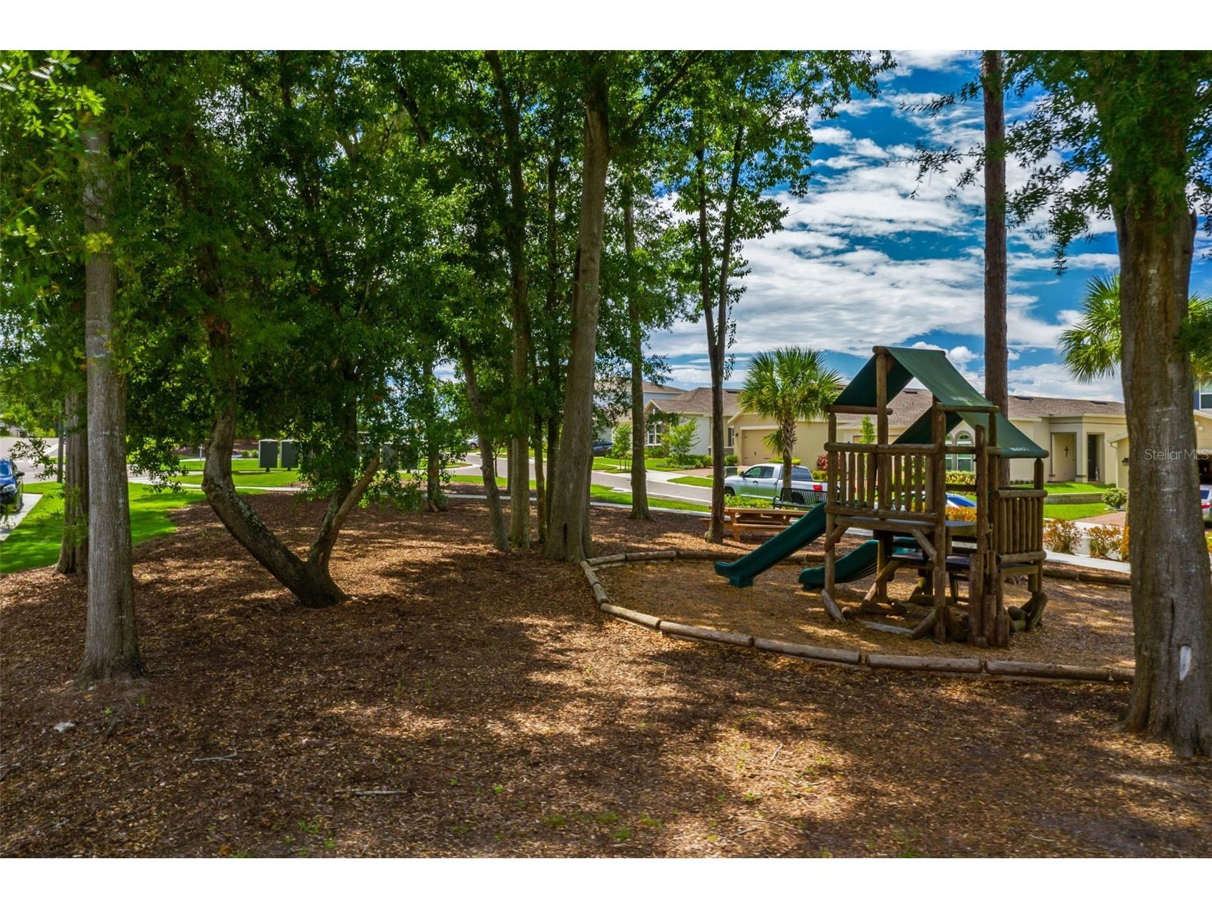 2541 Red Berry Way Ocoee FL 34761 O6390718 image39