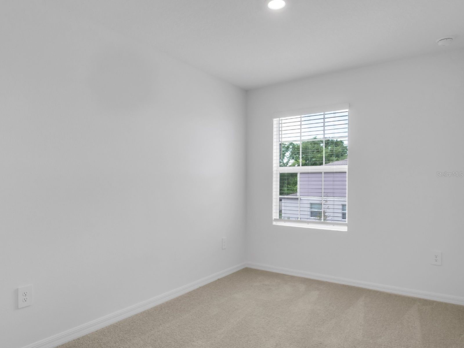 2541 Sunray Venus Way Ruskin FL 33570 TB8513696 image5