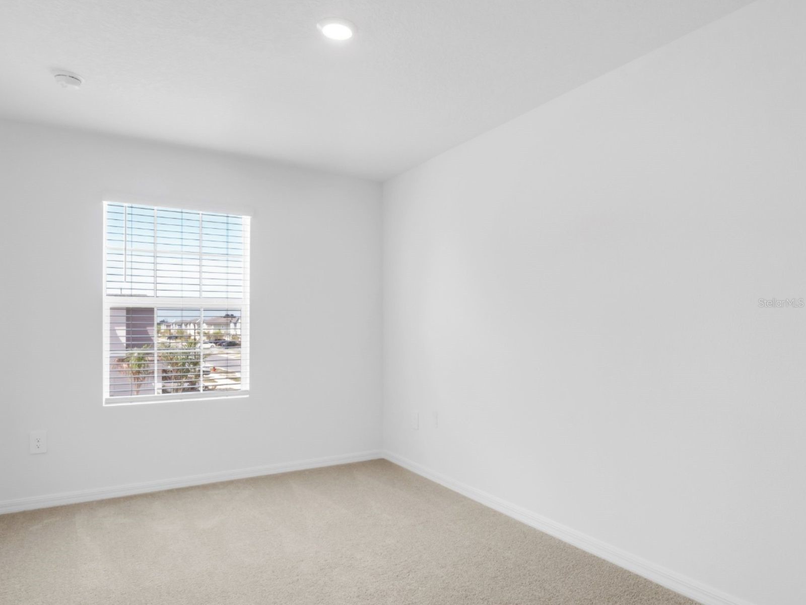 2541 Sunray Venus Way Ruskin FL 33570 TB8513696 image6
