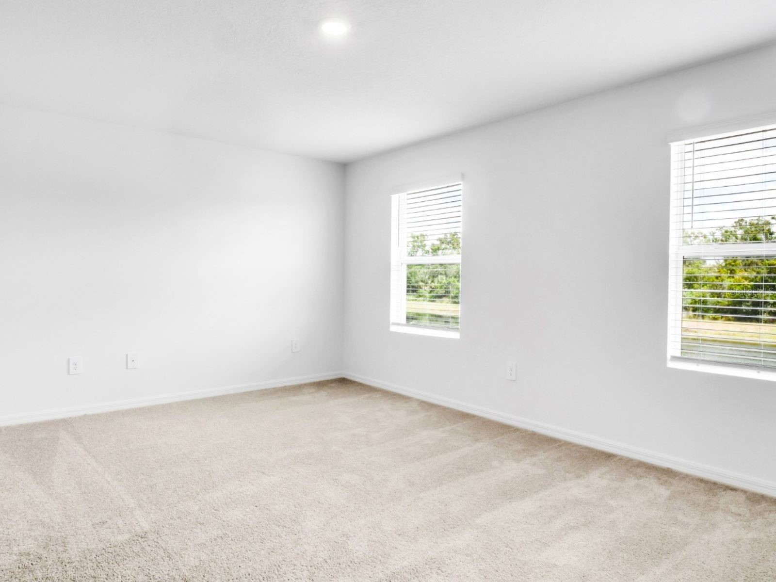 2541 Sunray Venus Way Ruskin FL 33570 TB8513696 image9