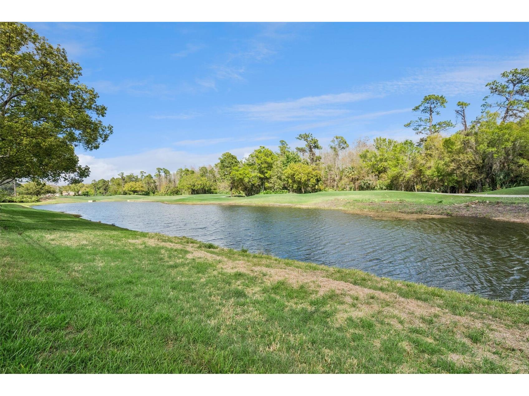 2541 Teton Stone Run Orlando FL 32828 O6392272 image57