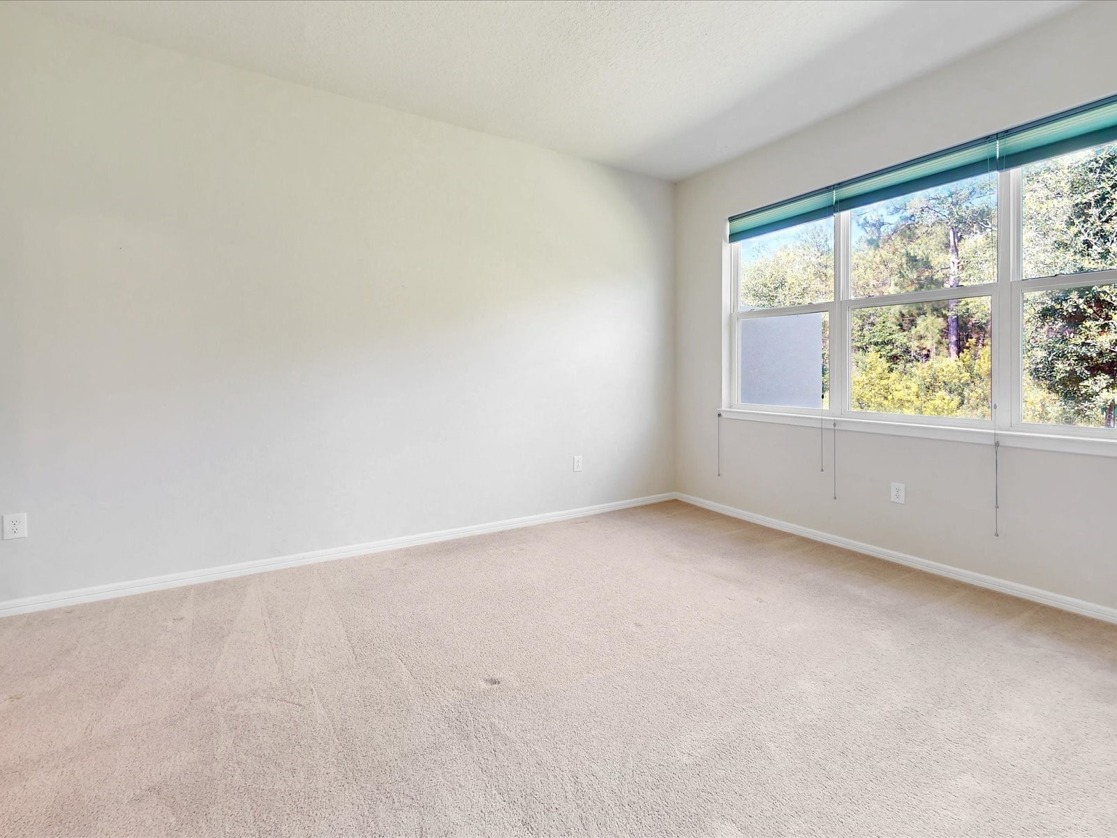 2542 Cliff Way Saint Cloud FL 34771 O6419802 image18