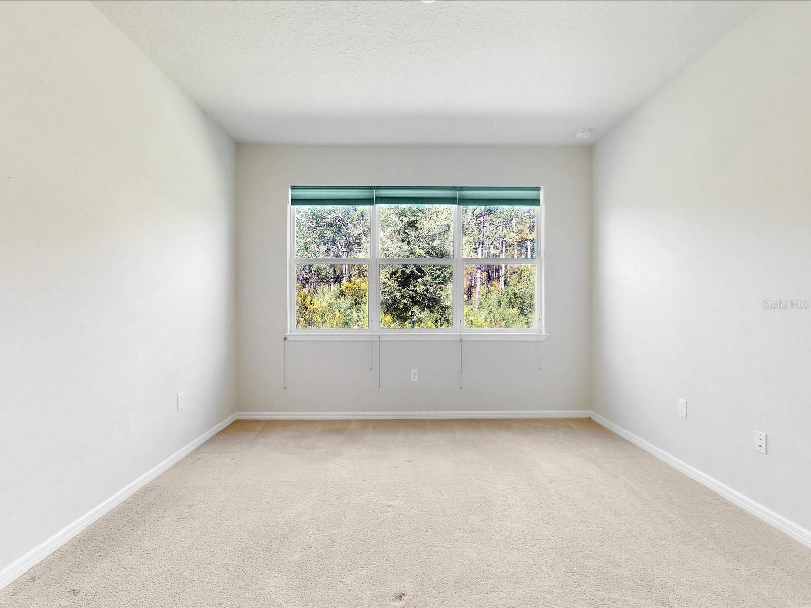 2542 Cliff Way Saint Cloud FL 34771 O6419802 image19