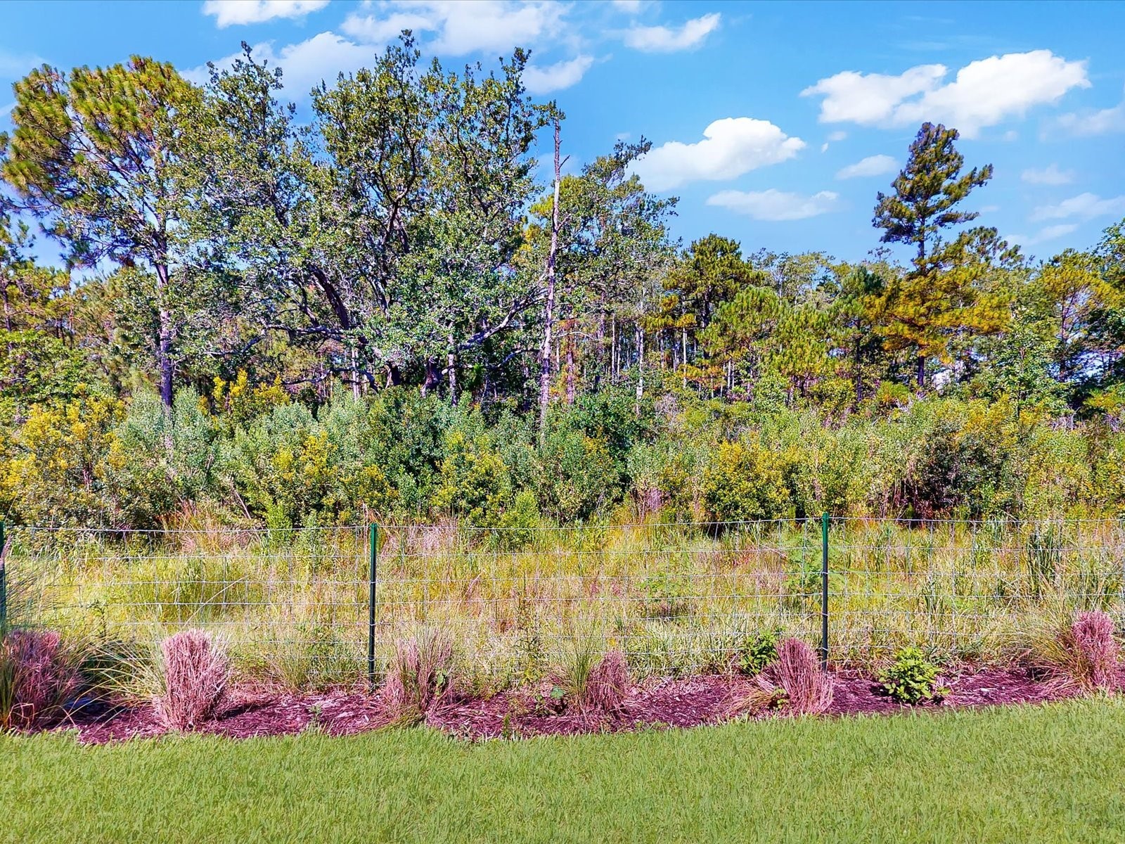2542 Cliff Way Saint Cloud FL 34771 O6419802 image26