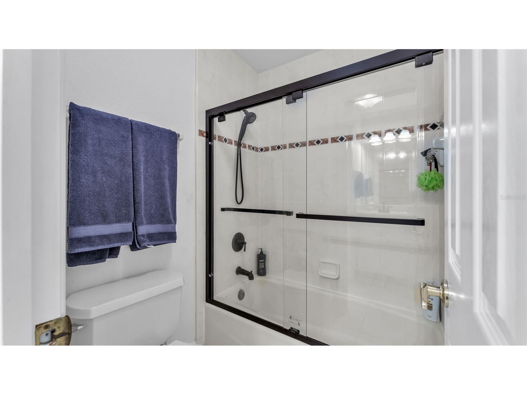 2542 Crews Lake Hills Loop S Lakeland FL 33813 L4960659 image54
