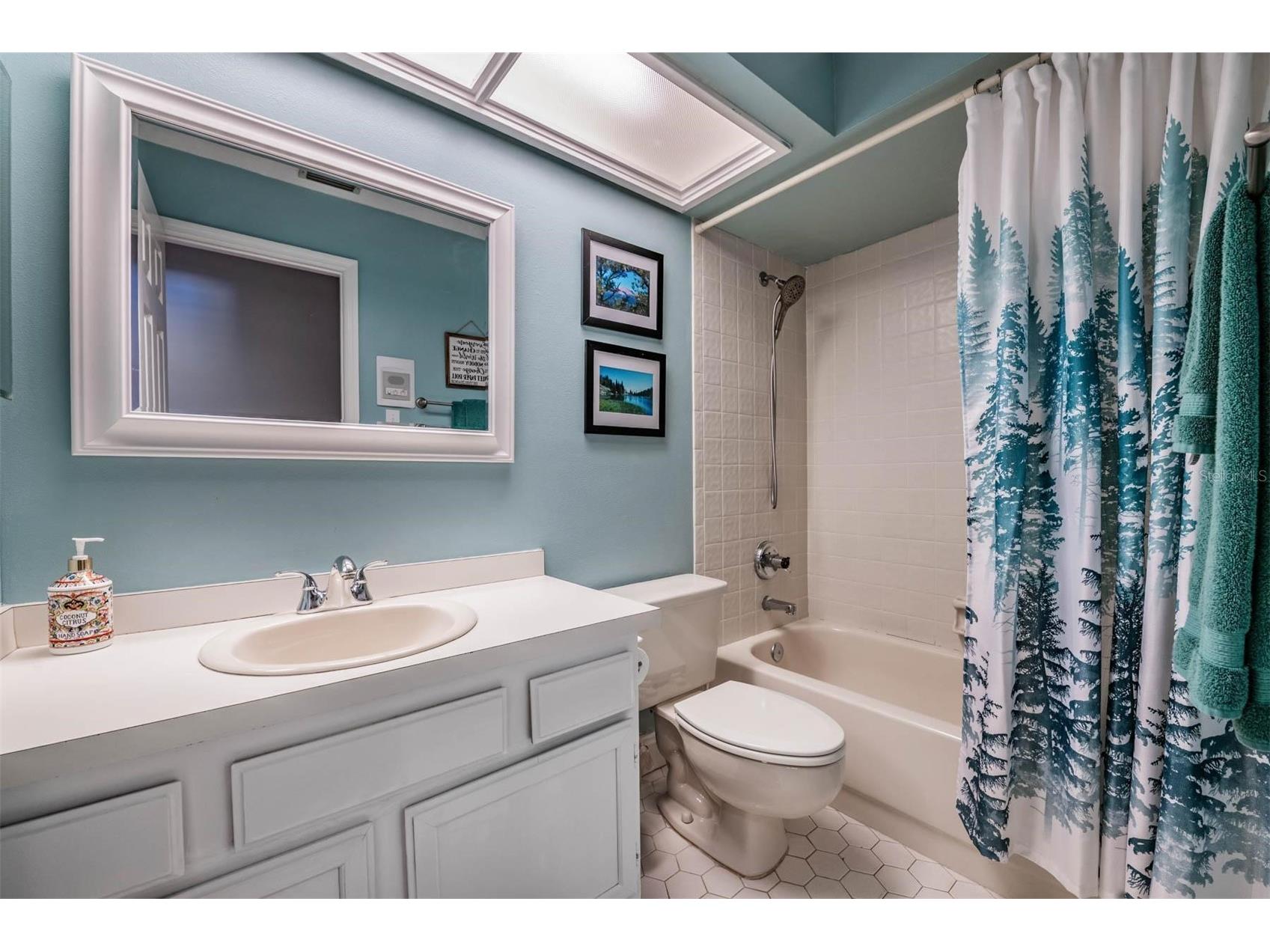 2542 Mason Oaks Drive Valrico FL 33596 TB8500473 image30