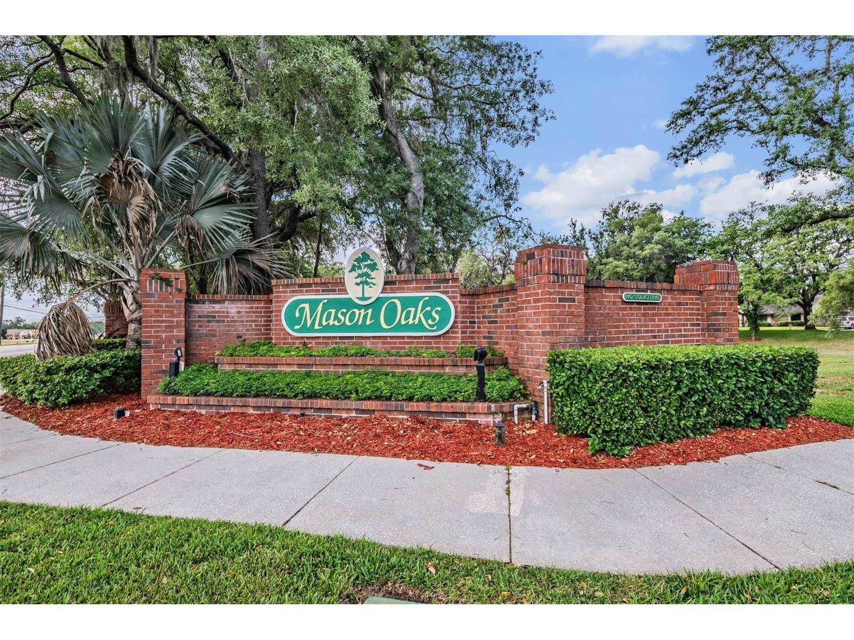 2542 Mason Oaks Drive Valrico FL 33596 TB8500473 image45