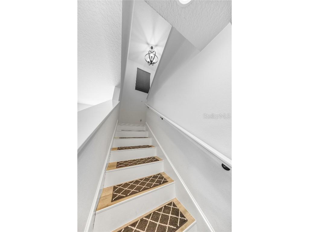 2542 Padgett Place Middleton FL 34762 G5102162 image9