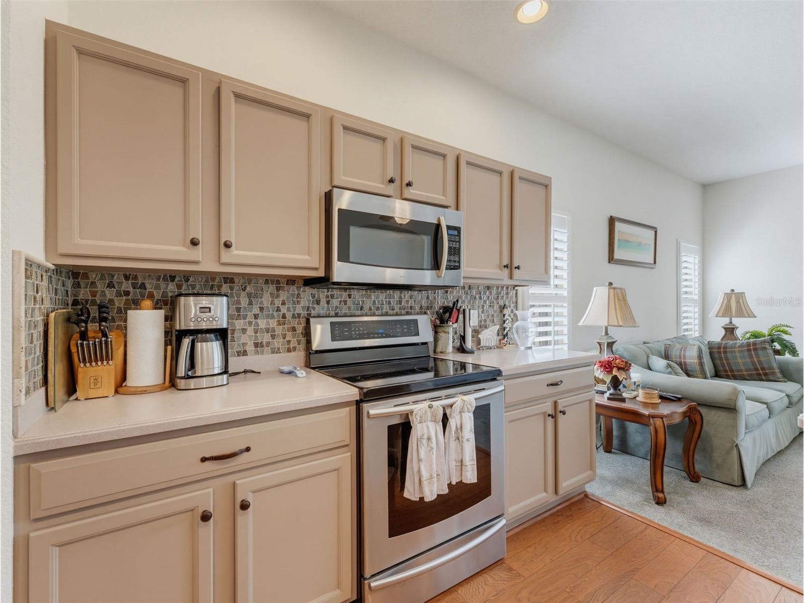 2542 Sandy Hill Court Holiday FL 34691 TB8530935 image20