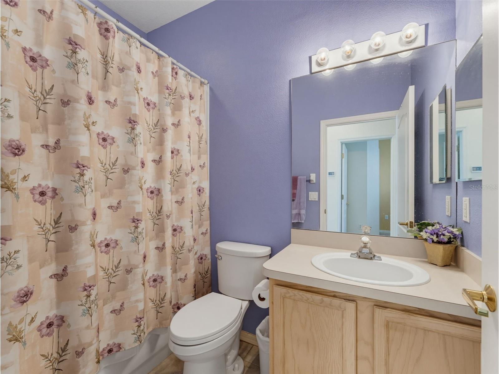 2542 Sandy Hill Court Holiday FL 34691 TB8530935 image40