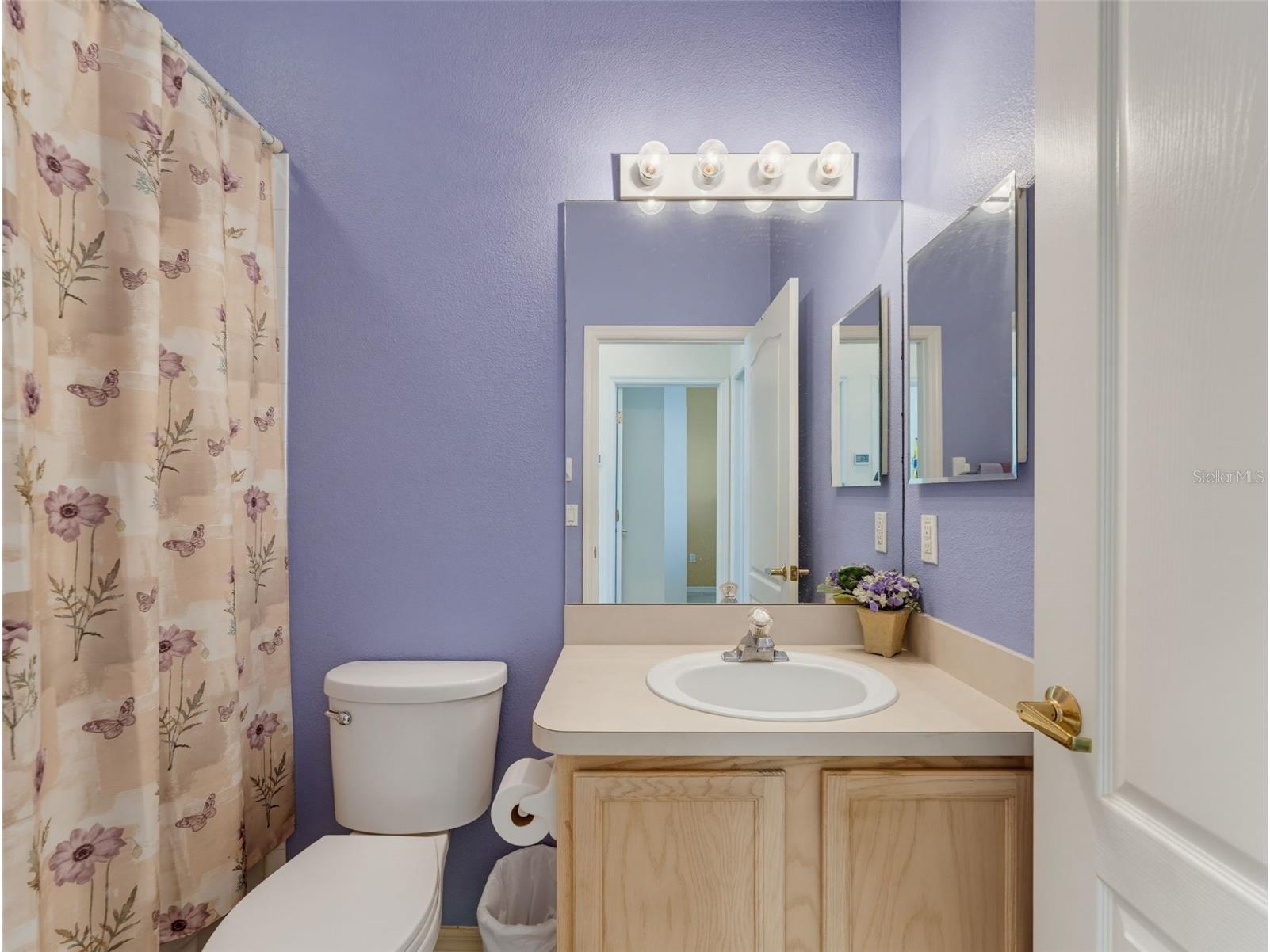 2542 Sandy Hill Court Holiday FL 34691 TB8530935 image41
