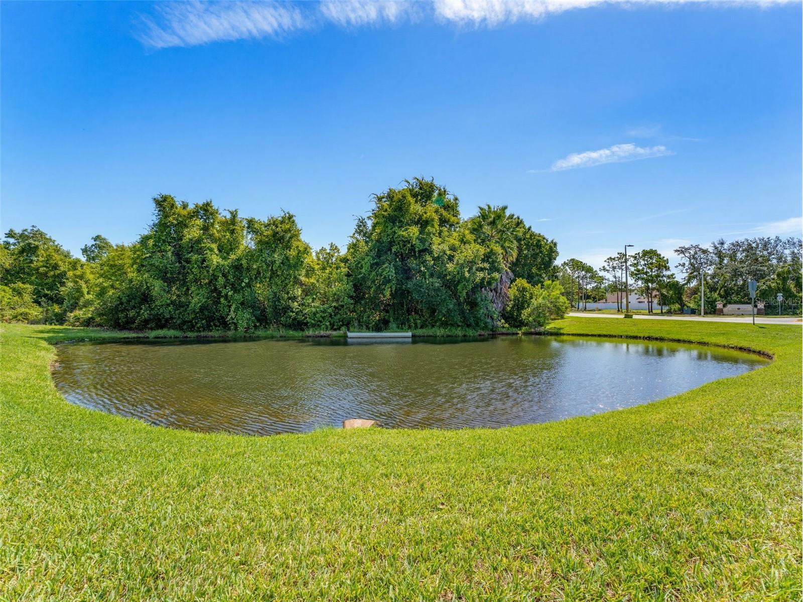 2542 Sandy Hill Court Holiday FL 34691 TB8530935 image60