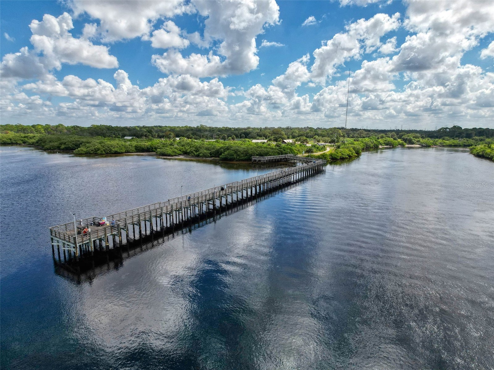 2542 Sandy Hill Court Holiday FL 34691 TB8530935 image96