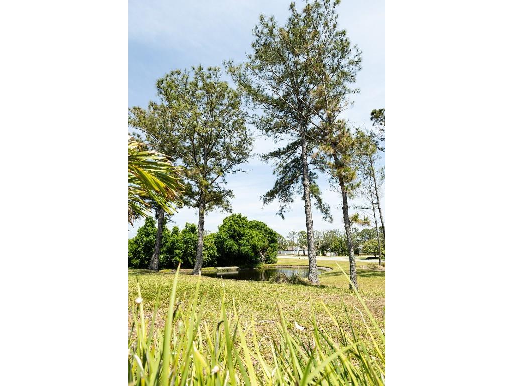 2542 Sandy Hill Court Holiday FL 34691 W7876288 image23