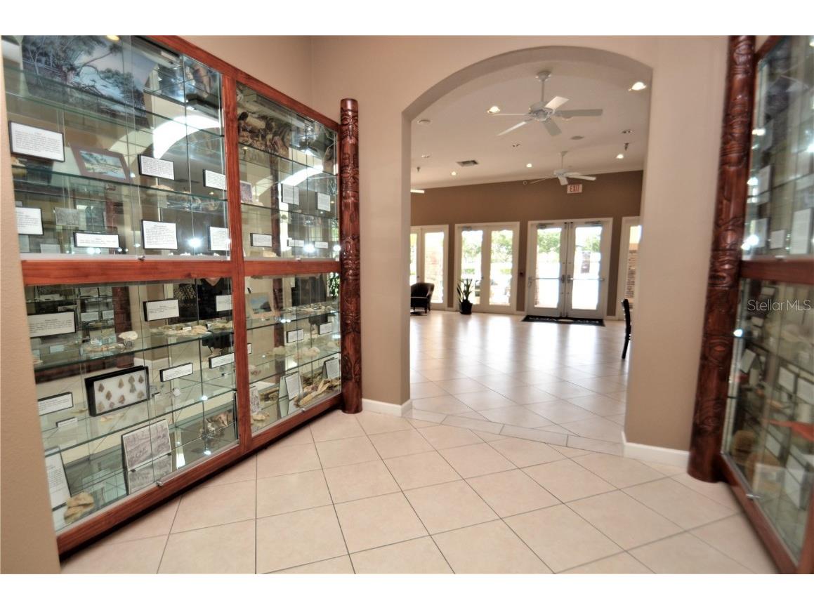 2542 Sandy Hill Court Holiday FL 34691 W7876288 image27