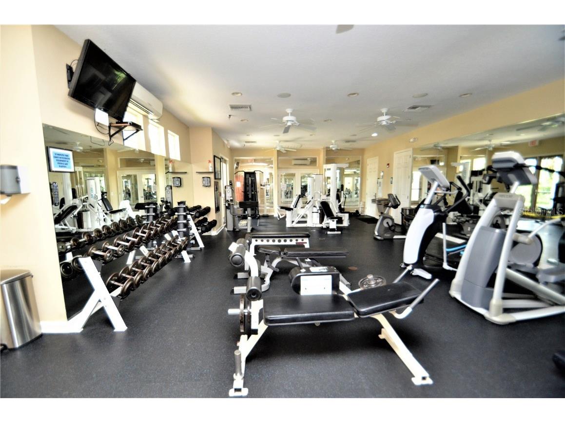 2542 Sandy Hill Court Holiday FL 34691 W7876288 image33