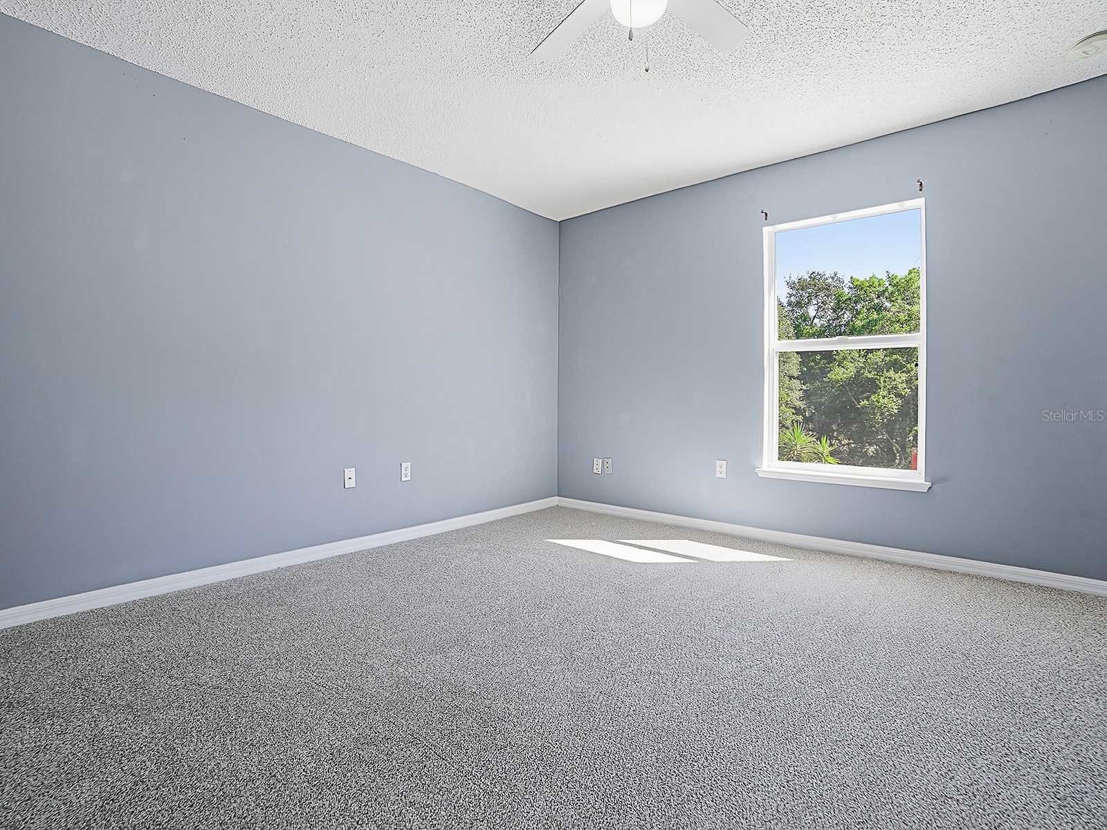 2542 Sheila Drive Apopka FL 32712 G5112150 image29