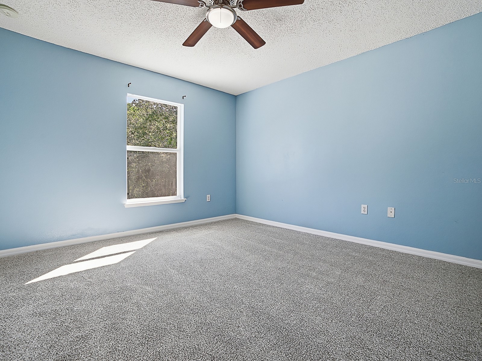 2542 Sheila Drive Apopka FL 32712 G5112150 image31