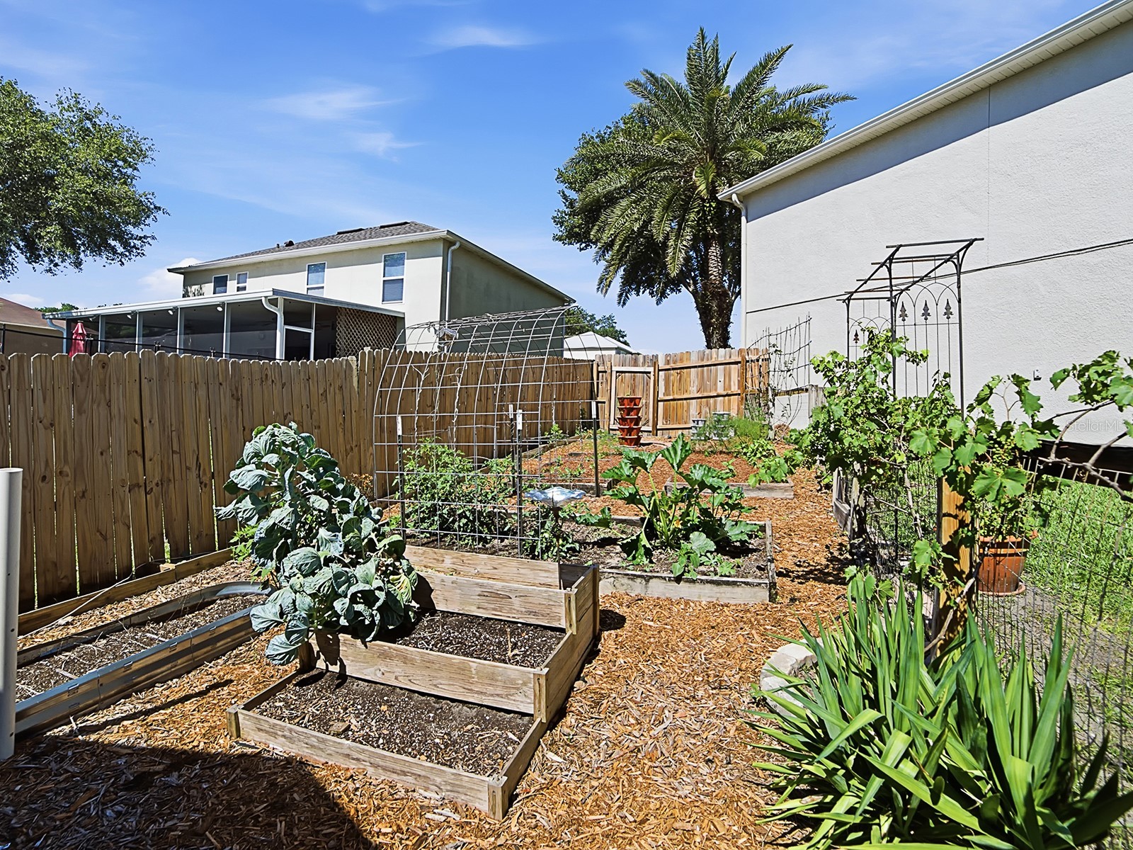 2542 Sheila Drive Apopka FL 32712 G5112150 image52