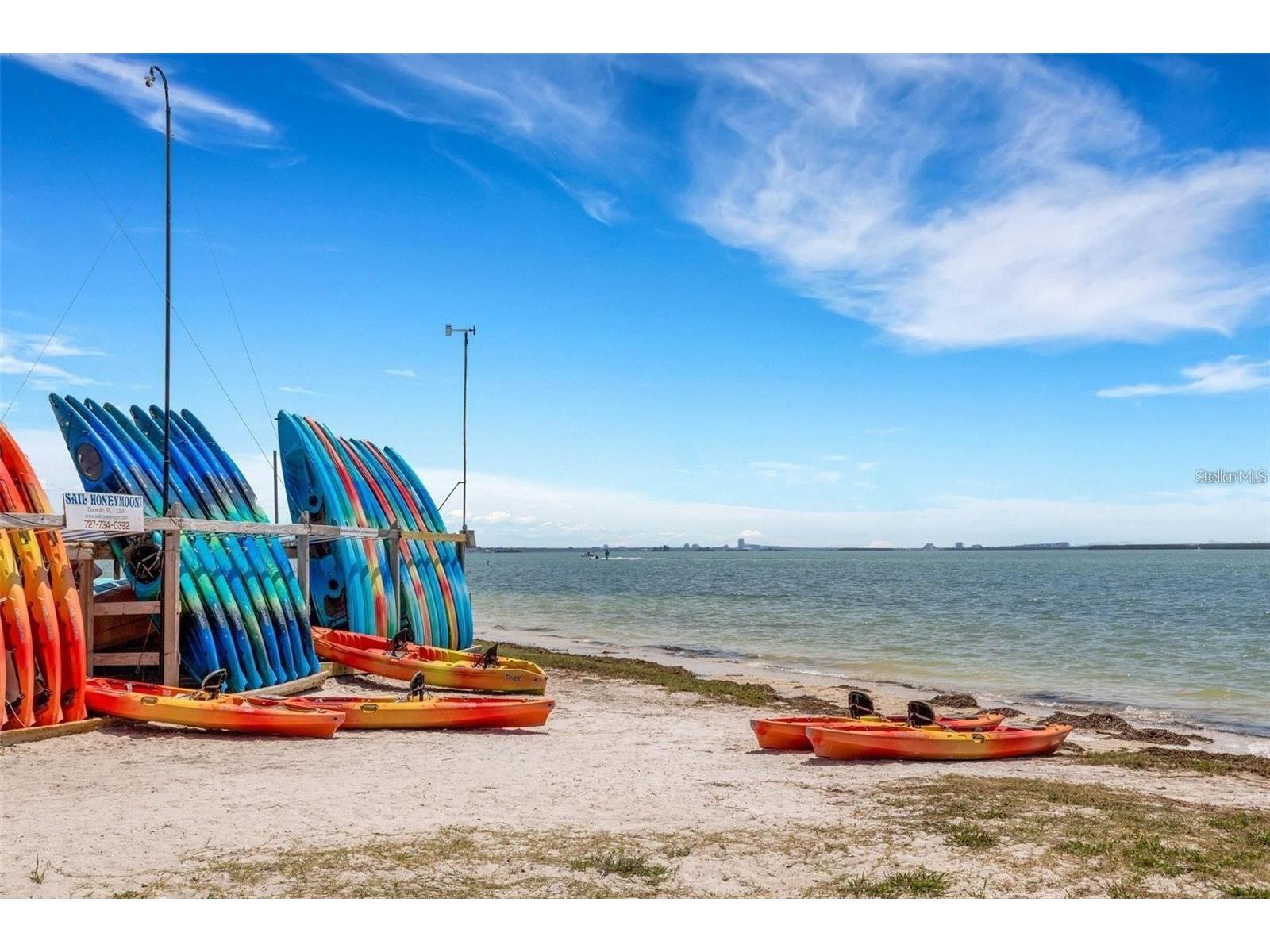 2542 Wynnewood Drive Clearwater FL 33763 TB8504418 image35