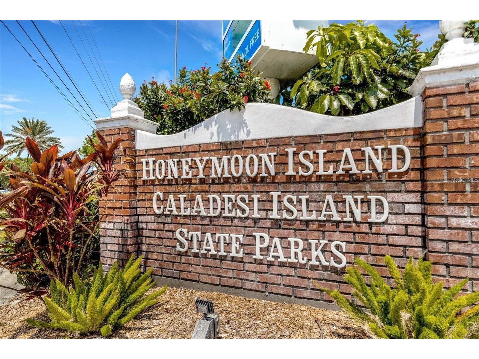 2542 Wynnewood Drive Clearwater FL 33763 TB8504418 image36
