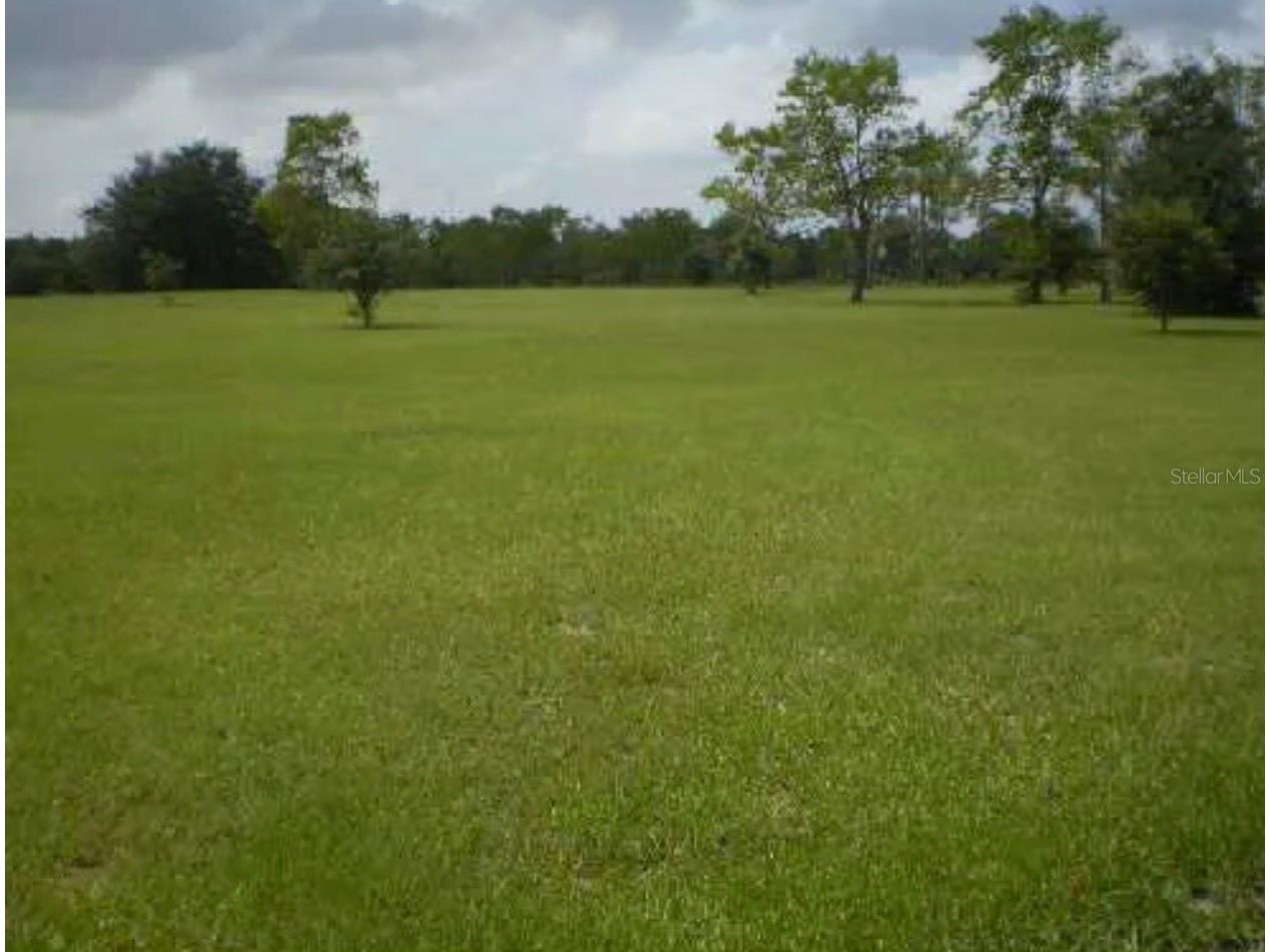 25429 Shetland Trail Sorrento FL 32776 O6425037 image1